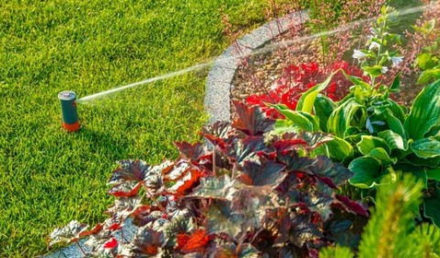 Fréquence d'arrosage de sa pelouse