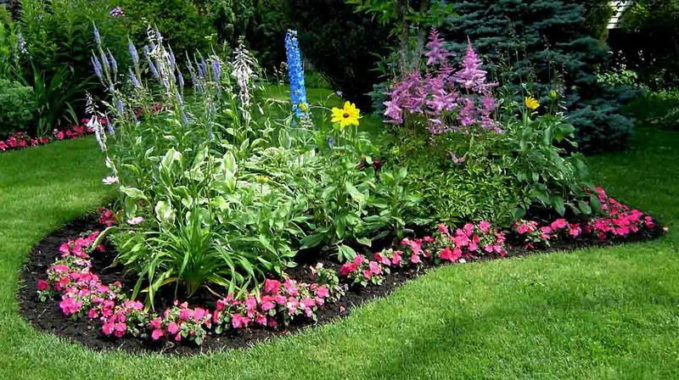 Entretenir une platte bande de fleurs