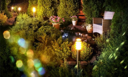 Comment éclairer votre jardin