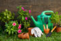 Alcea Eco Paysage