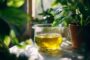 Astuces pour un dosage efficace du roundup pour 10 litres d'eau