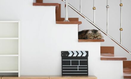 Bibliothèque escalier