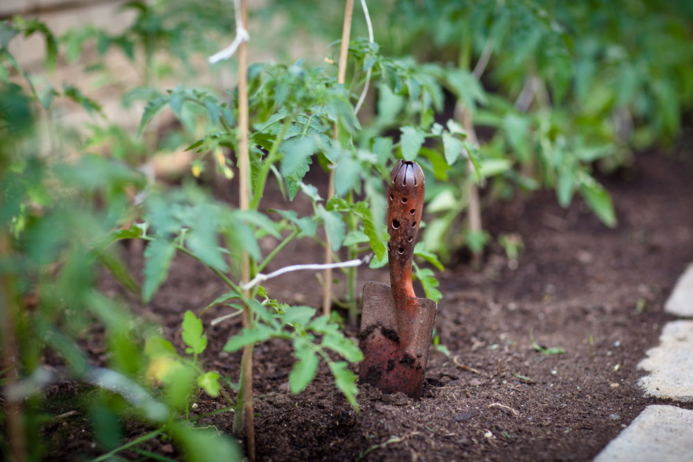 aérer le sol de permaculture