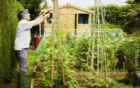 abri de jardin