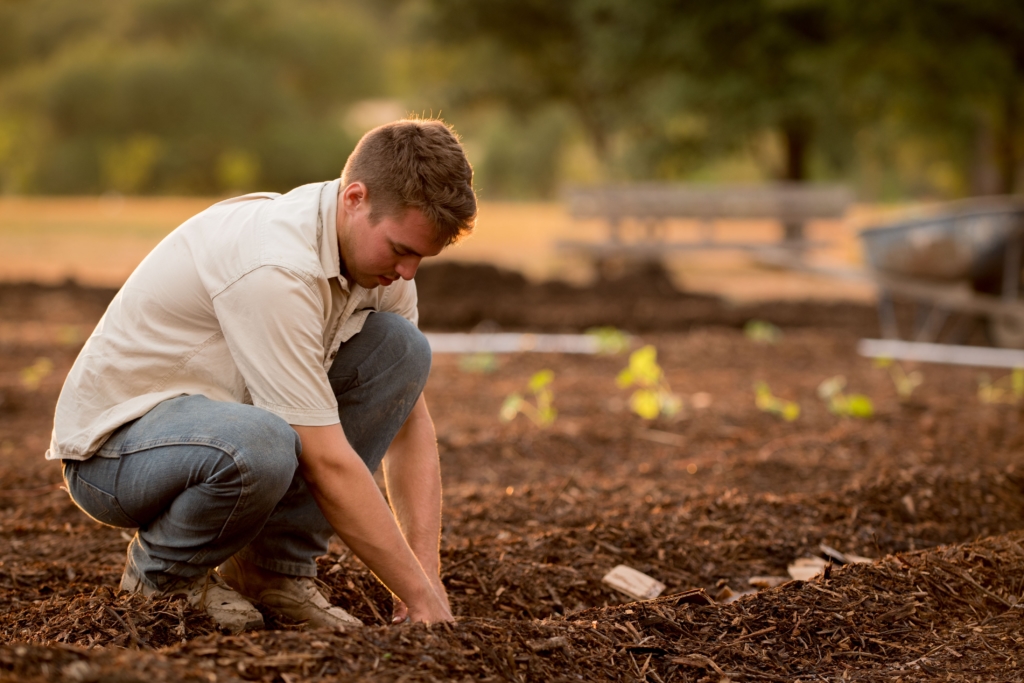 aide à domicile pour le jardinage