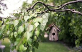 aménagement du jardin