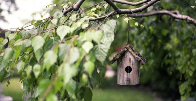 aménagement du jardin