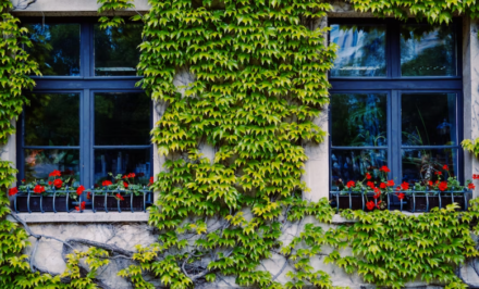 aménager jardin