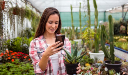 application plante