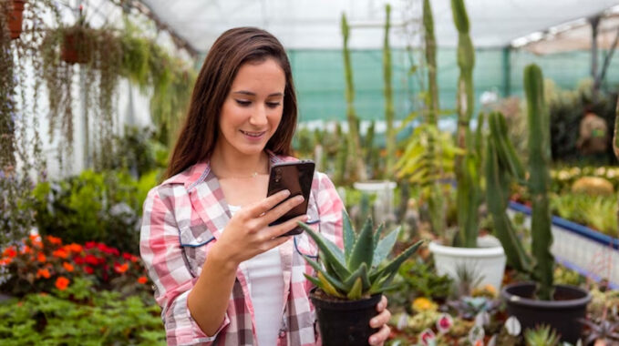 application plante