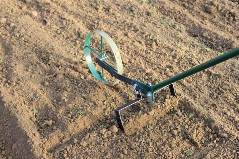 Sarcleuses de jardin pour arracher les mauvaise herbes de sa pelouse