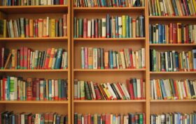 bibliothèque en bois massif