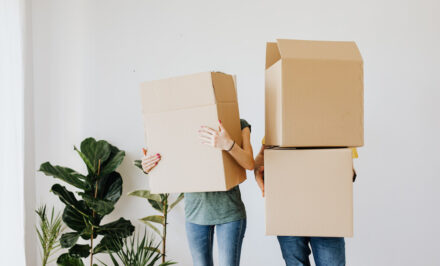 boite carton