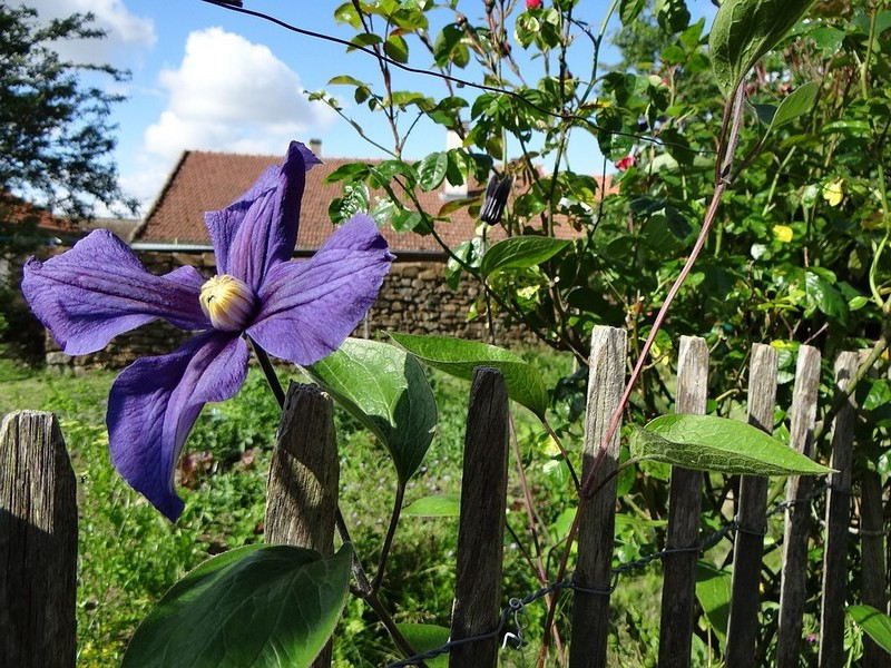 Cambriolage de jardins et abris