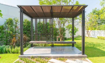 canisse pergola