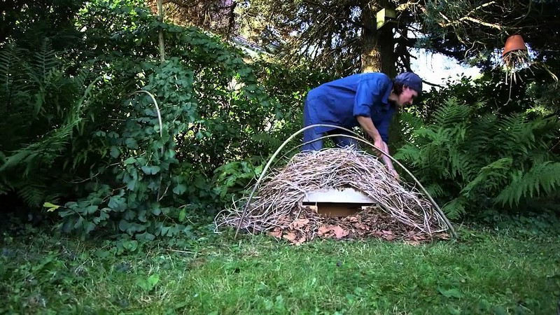 Comment éliminer les limaces de son jardin