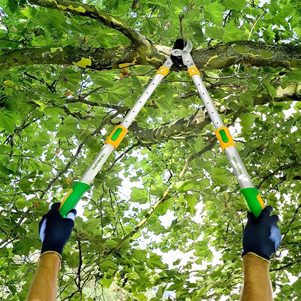 coupe-branche idéal