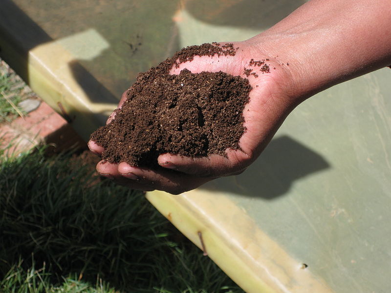 créer un jardin écologique