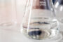 eau poids