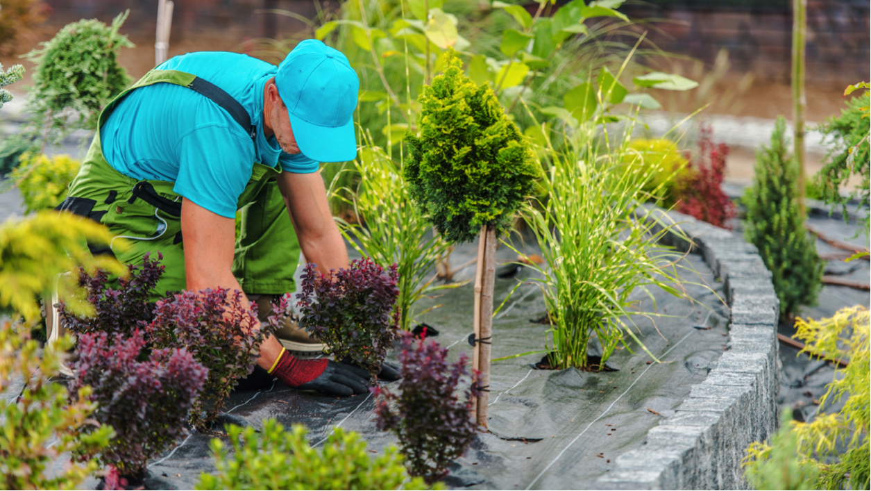 entetien jardin