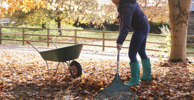 entretenir un jardin