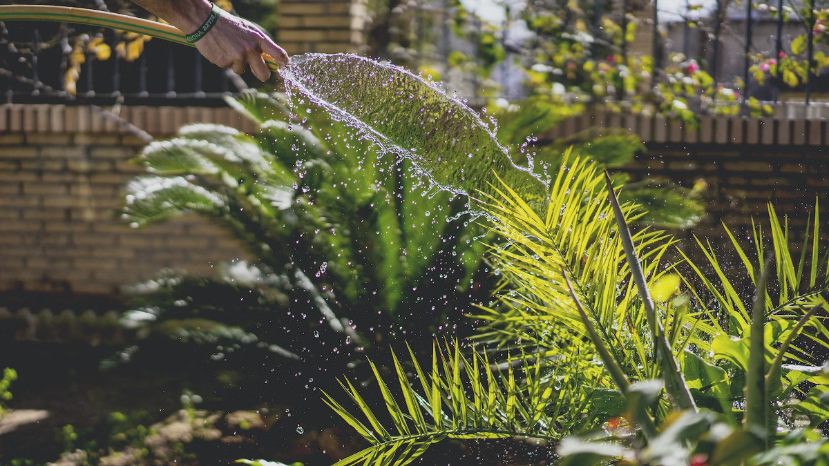 entretien jardin