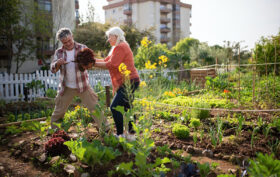 entretien potager