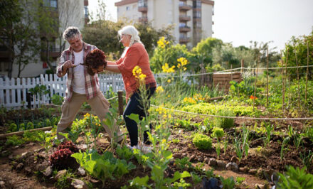 entretien potager