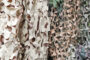 filet de camouflage
