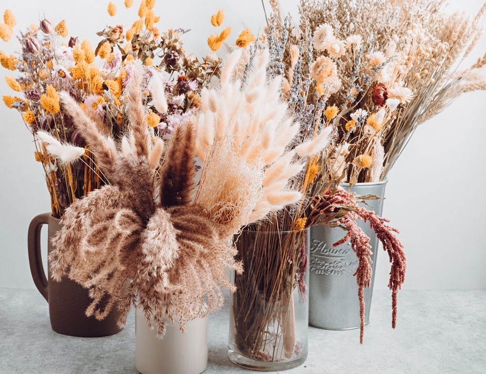 Où acheter des fleurs séchées à Nantes pour décorer son intérieur ?