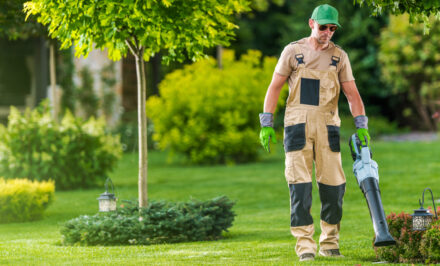 nettoyage jardin