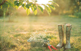 outillage de jardin