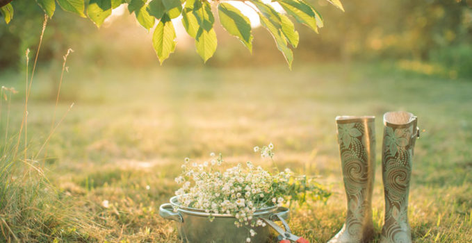 outillage de jardin