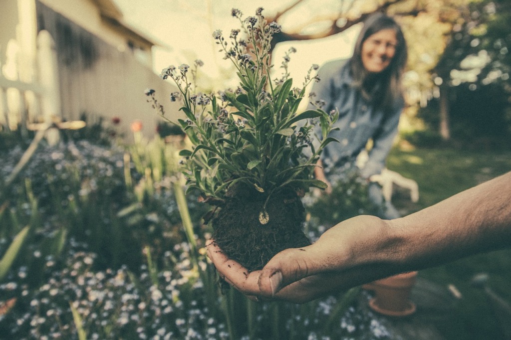 permaculture