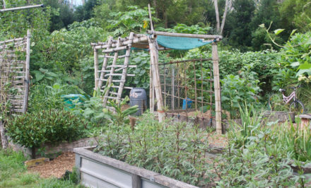 permaculture