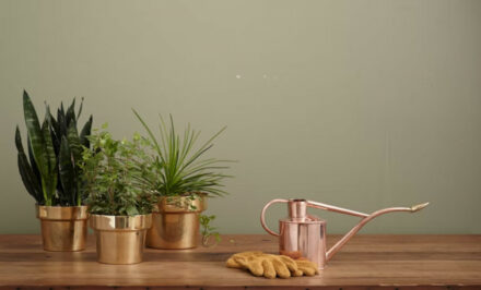 petite jardin