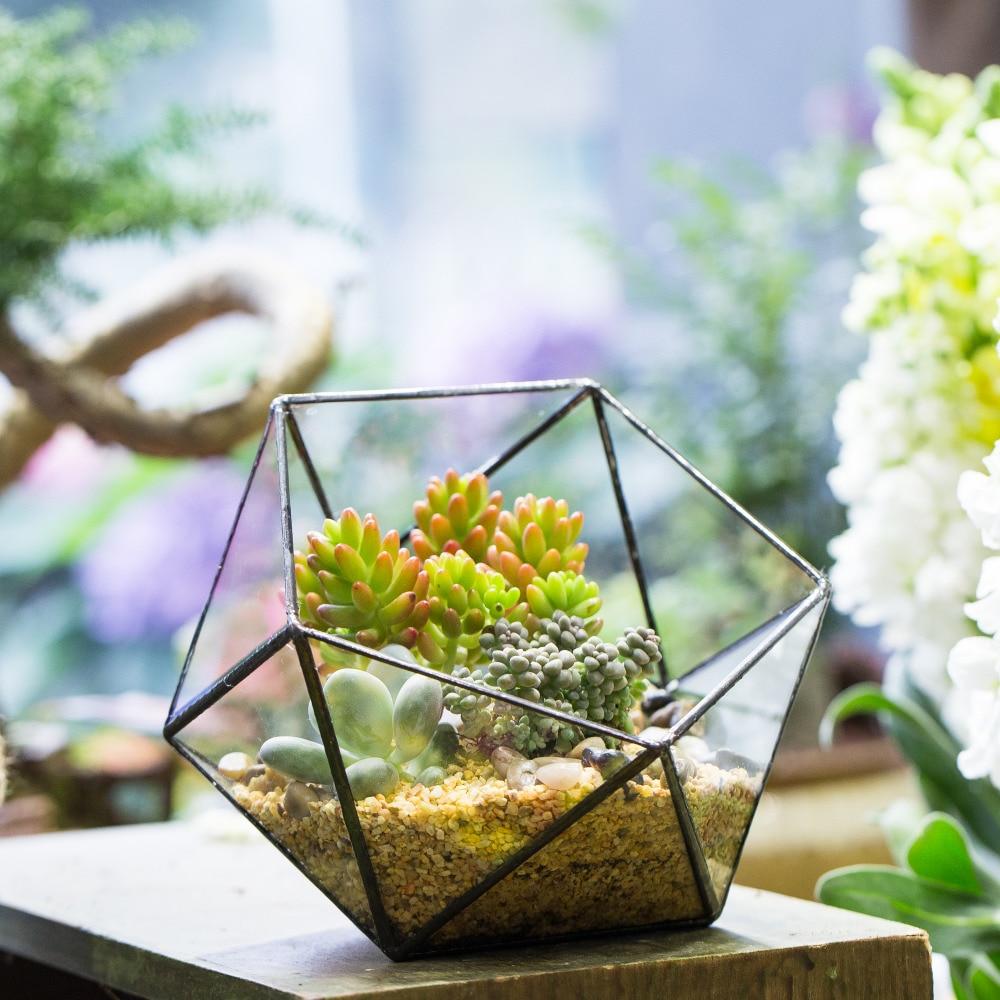 Terrarium ouvert