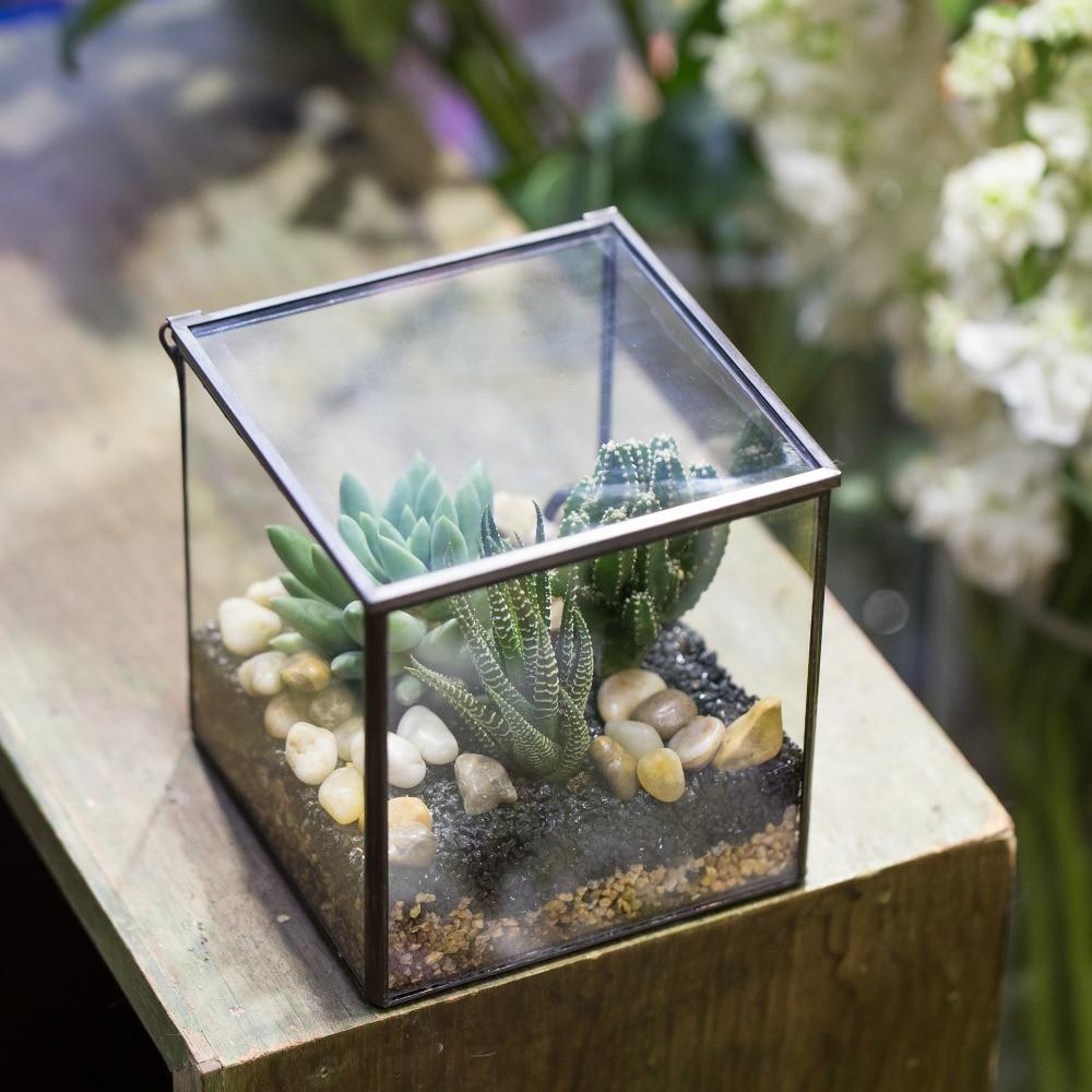 Terrarium fermer