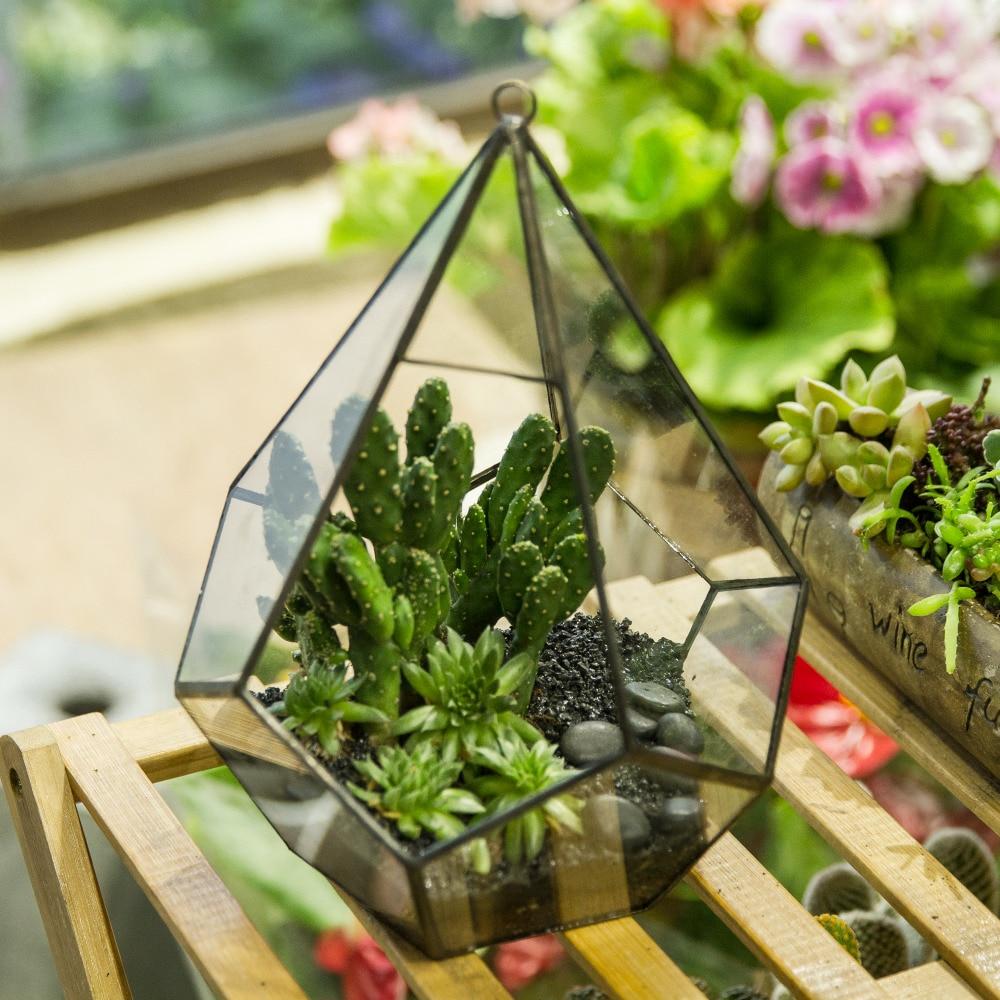 Terrarium ouvert