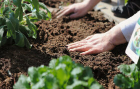 professionnel jardin