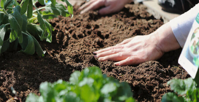 professionnel jardin