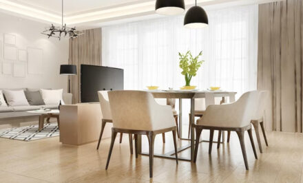 salon salle manger