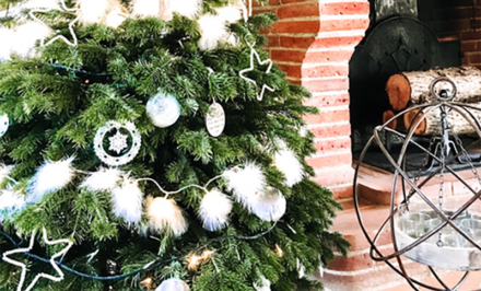 sapin noël