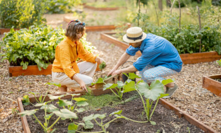 sauver jardin