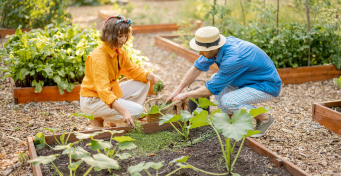 sauver jardin